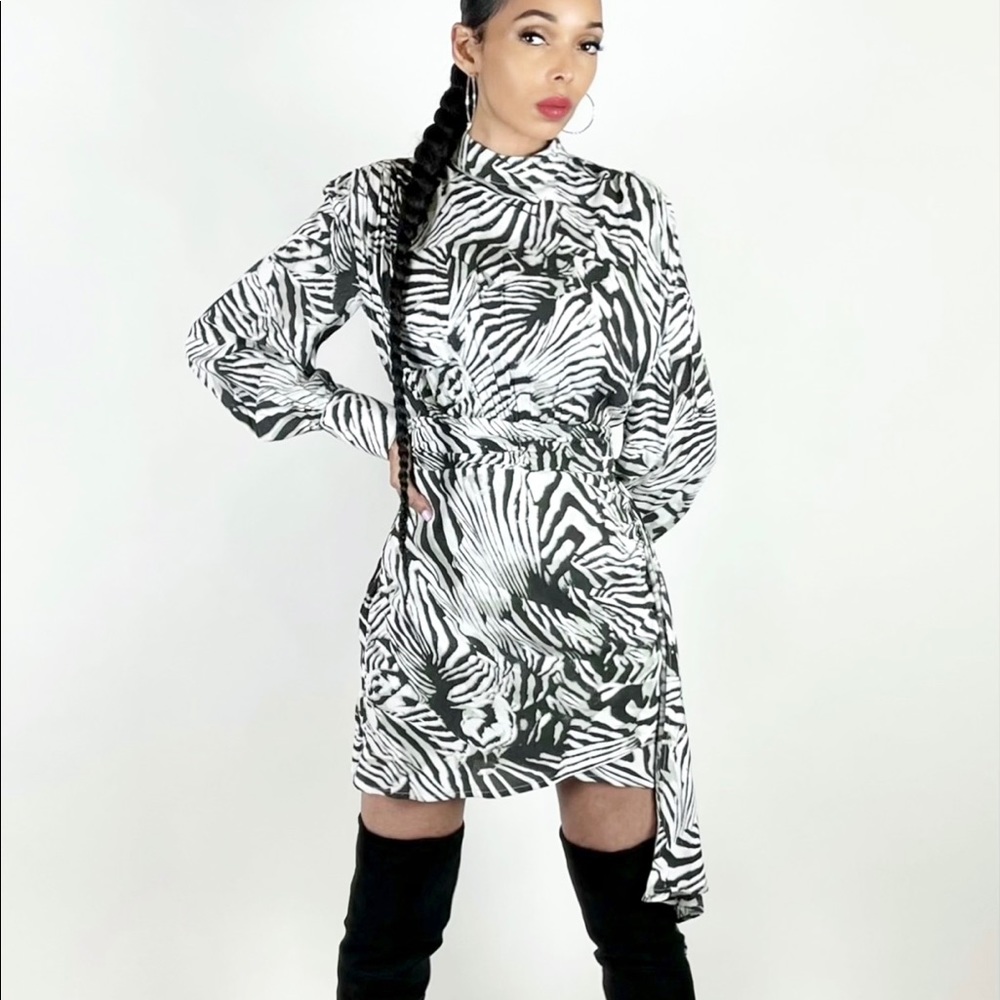 Long Sleeve Animal Print Rayon Dress